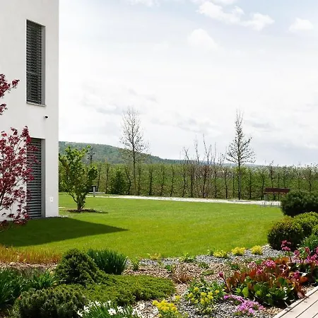 Hotel Harmony Medical & Wellness-free Parking, 1,8km From The Center 4*