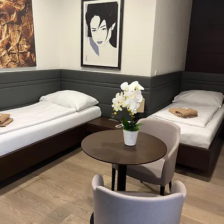 Harmony Medical & Wellness-free Parking, 1,8km From The Center Kroměříž