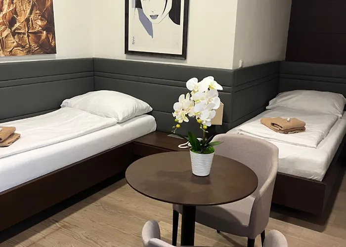 Harmony Medical & Wellness-free Parking, 1,8km From The Center 克罗梅日什